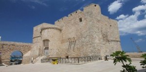 11412313_869141029807233_274756080343957735_n